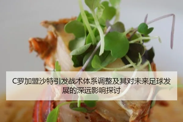 C罗加盟沙特引发战术体系调整及其对未来足球发展的深远影响探讨